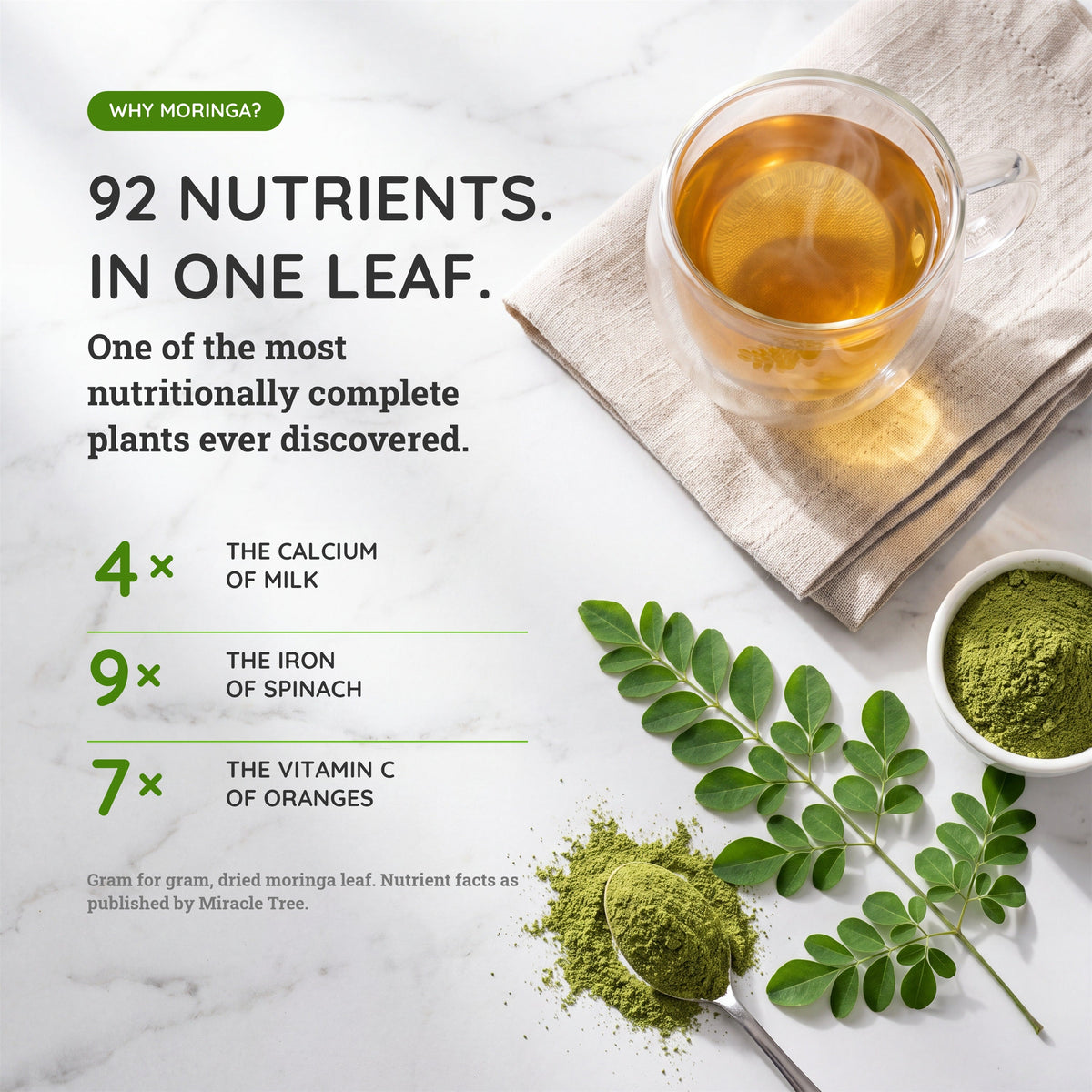 Organic Moringa Tea - Watermelon - Caffeine-Free Herbal Tea